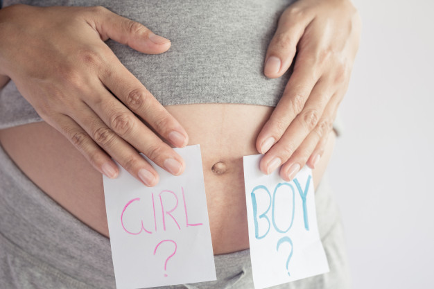 pregna, pregnant, pregnancy, pregna-5, этапы развития ребенка